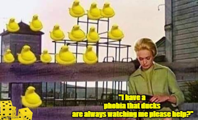 DUCK WATCH | "I have a phobia that ducks
 are always watching me please help?" | image tagged in duck watch | made w/ Imgflip meme maker