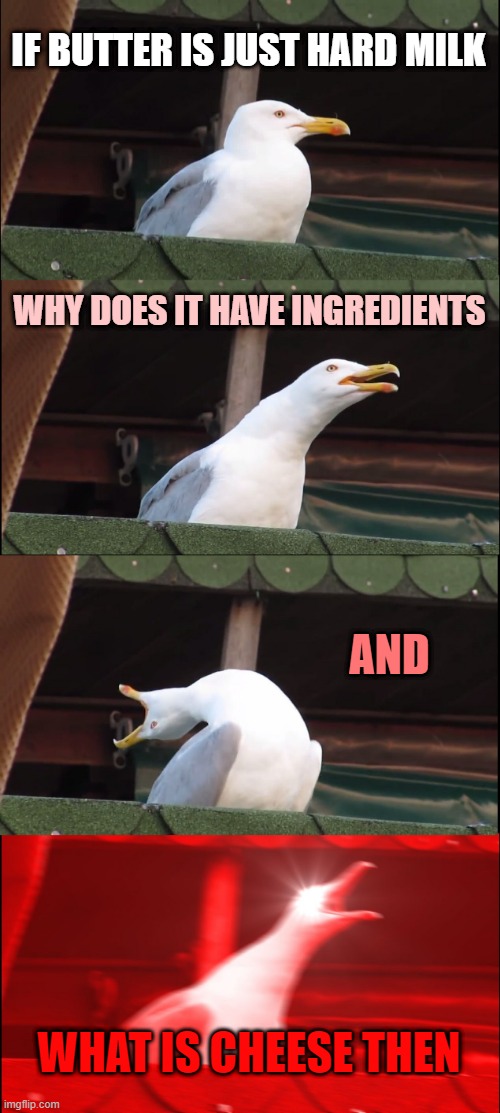 IF BUTTER IS JUST HARD MILK WHY DOES IT HAVE INGREDIENTS AND WHAT IS CHEESE THEN | image tagged in memes,inhaling seagull | made w/ Imgflip meme maker