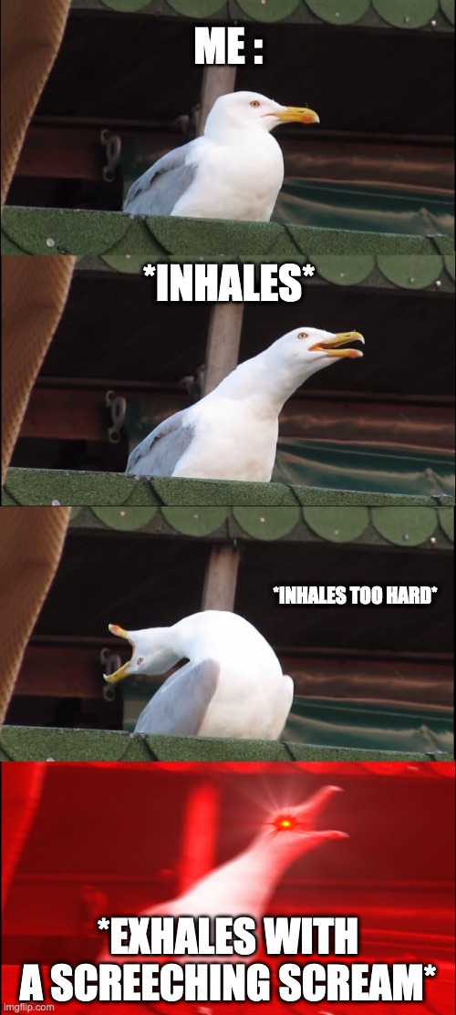 when u inhale too hard u scream when u exhale | ME :; *INHALES*; *INHALES TOO HARD*; *EXHALES WITH A SCREECHING SCREAM* | image tagged in memes,inhaling seagull | made w/ Imgflip meme maker