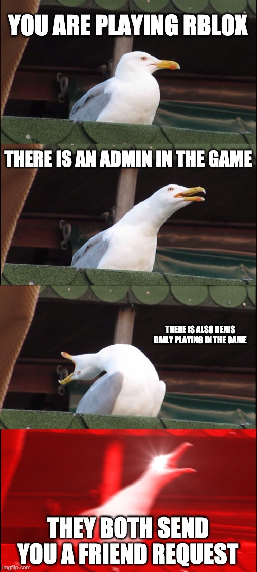 OMG!!!! | YOU ARE PLAYING RBLOX; THERE IS AN ADMIN IN THE GAME; THERE IS ALSO DENIS DAILY PLAYING IN THE GAME; THEY BOTH SEND YOU A FRIEND REQUEST | image tagged in memes,inhaling seagull | made w/ Imgflip meme maker