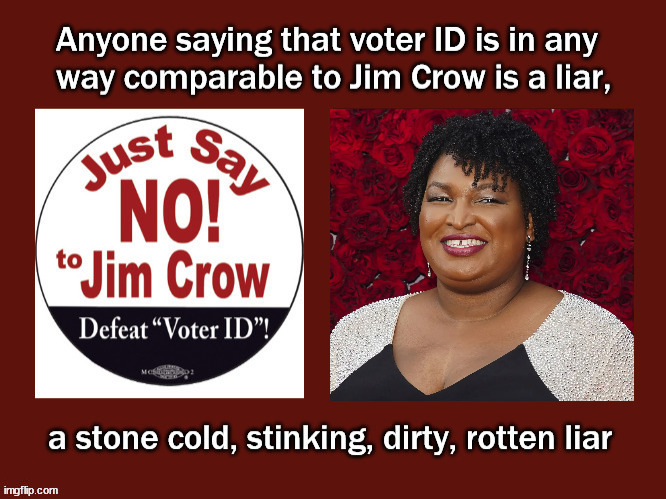 Stacy Abrams; liar | image tagged in politics | made w/ Imgflip meme maker