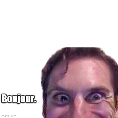 Say bonjour | Bonjour. | image tagged in when the imposter is sus | made w/ Imgflip meme maker