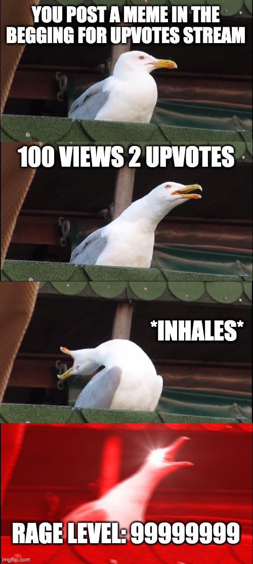 100 Views 2 Upvotes | YOU POST A MEME IN THE BEGGING FOR UPVOTES STREAM; 100 VIEWS 2 UPVOTES; *INHALES*; RAGE LEVEL: 99999999 | image tagged in memes,inhaling seagull | made w/ Imgflip meme maker