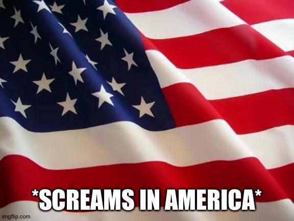 American flag | *SCREAMS IN AMERICA* | image tagged in american flag | made w/ Imgflip meme maker