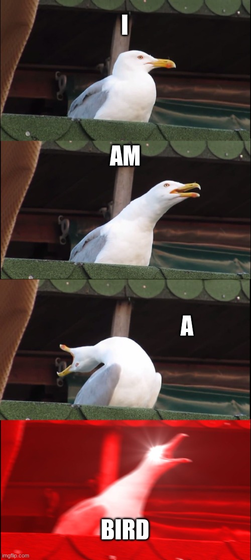 Inhaling Seagull | I; AM; A; BIRD | image tagged in memes,inhaling seagull | made w/ Imgflip meme maker