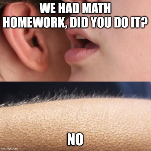 Relatable? | WE HAD MATH HOMEWORK, DID YOU DO IT? NO | image tagged in whisper and goosebumps | made w/ Imgflip meme maker