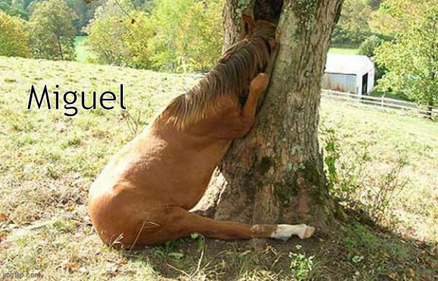 help me steptree I'm stuck. | Miguel | image tagged in juan,farm animals,animals,stepbrother,im stuck,horse | made w/ Imgflip meme maker