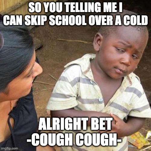 cough cough | SO YOU TELLING ME I CAN SKIP SCHOOL OVER A COLD; ALRIGHT BET -COUGH COUGH- | image tagged in memes,third world skeptical kid | made w/ Imgflip meme maker