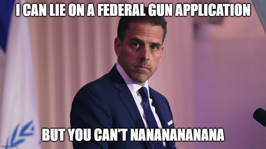 Federal Gun Application | I CAN LIE ON A FEDERAL GUN APPLICATION; BUT YOU CAN'T NANANANANANA | image tagged in nanana,gun control | made w/ Imgflip meme maker