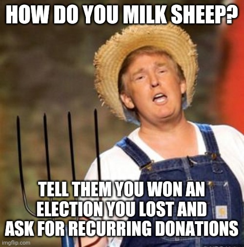 Trump farmer | HOW DO YOU MILK SHEEP? TELL THEM YOU WON AN ELECTION YOU LOST AND ASK FOR RECURRING DONATIONS | image tagged in trump farmer | made w/ Imgflip meme maker