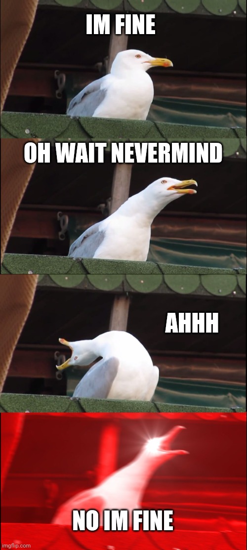 Inhaling Seagull | IM FINE; OH WAIT NEVERMIND; AHHH; NO IM FINE | image tagged in memes,inhaling seagull | made w/ Imgflip meme maker