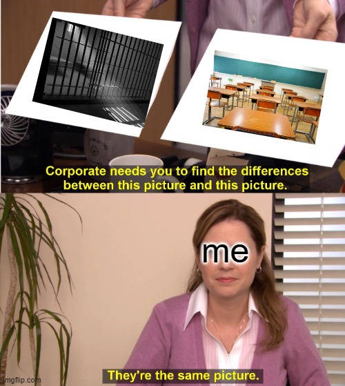 They're The Same Picture Meme | me | image tagged in memes,they're the same picture,school,jail | made w/ Imgflip meme maker