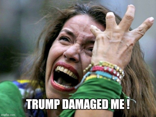 Hysterical Holly | TRUMP DAMAGED ME ! | image tagged in hysterical holly | made w/ Imgflip meme maker