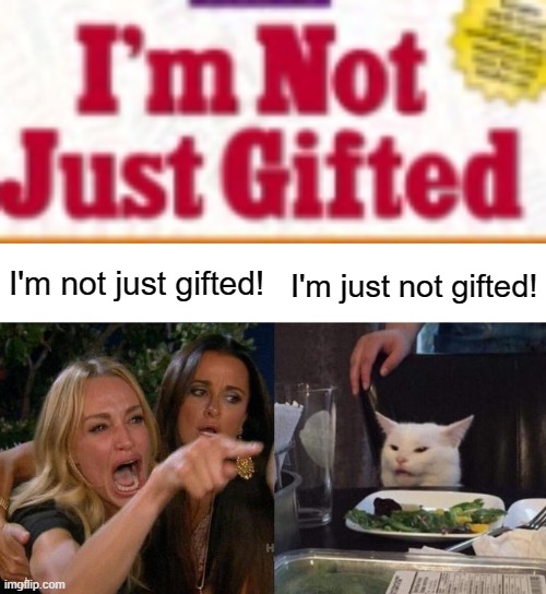 I'm not just gifted! I'm just not gifted! | image tagged in memes,woman yelling at cat | made w/ Imgflip meme maker