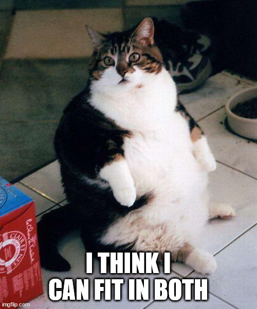 fat cat | I THINK I CAN FIT IN BOTH | image tagged in fat cat | made w/ Imgflip meme maker