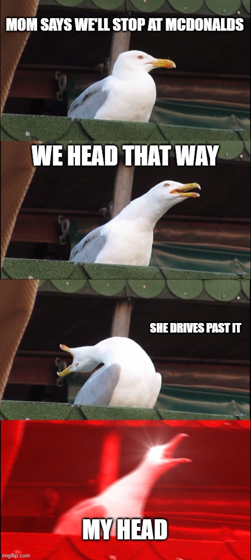 Inhaling Seagull | MOM SAYS WE'LL STOP AT MCDONALDS; WE HEAD THAT WAY; SHE DRIVES PAST IT; MY HEAD | image tagged in memes,inhaling seagull | made w/ Imgflip meme maker