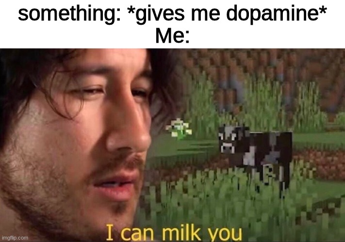 ha | something: *gives me dopamine*
Me: | image tagged in markiplier | made w/ Imgflip meme maker