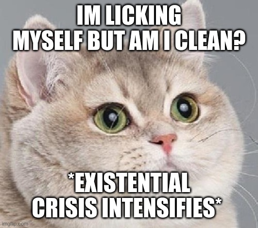 lol | IM LICKING MYSELF BUT AM I CLEAN? *EXISTENTIAL CRISIS INTENSIFIES* | image tagged in breathing intensifies | made w/ Imgflip meme maker