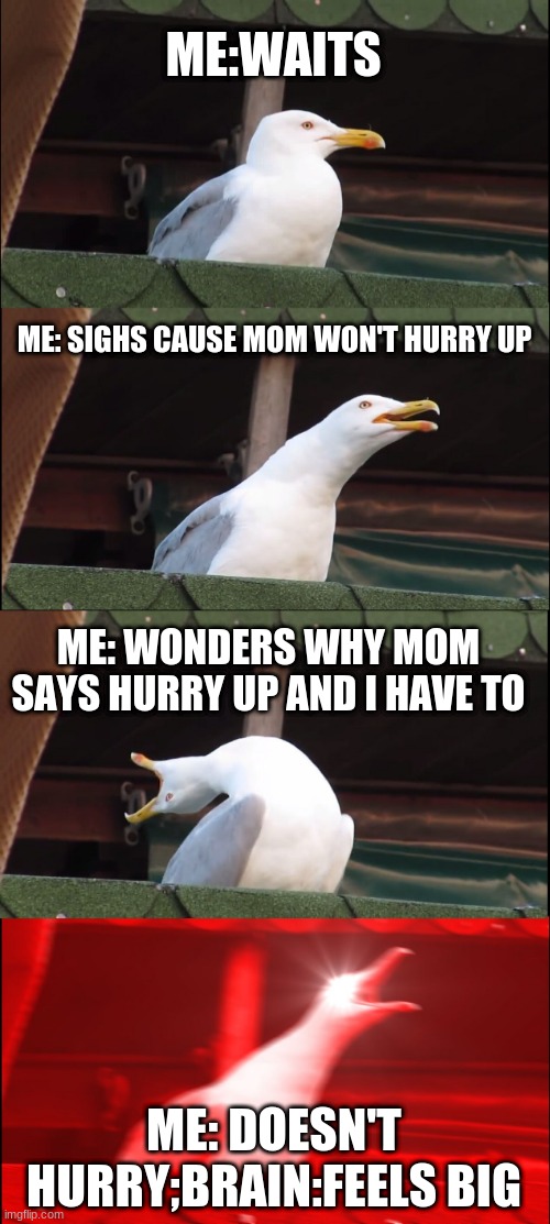 Inhaling Seagull | ME:WAITS; ME: SIGHS CAUSE MOM WON'T HURRY UP; ME: WONDERS WHY MOM SAYS HURRY UP AND I HAVE TO; ME: DOESN'T HURRY;BRAIN:FEELS BIG | image tagged in memes,inhaling seagull | made w/ Imgflip meme maker