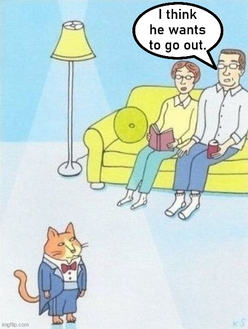 I think he wants to go out. | image tagged in comics/cartoons | made w/ Imgflip meme maker