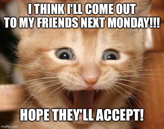Wish me luck! | I THINK I'LL COME OUT TO MY FRIENDS NEXT MONDAY!!! HOPE THEY'LL ACCEPT! | image tagged in excited cat,happines noise,coming out,lesbian | made w/ Imgflip meme maker
