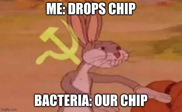 Bugs bunny communist | ME: DROPS A CHIP; BACTERIA: OUR CHIP | image tagged in bugs bunny communist | made w/ Imgflip meme maker