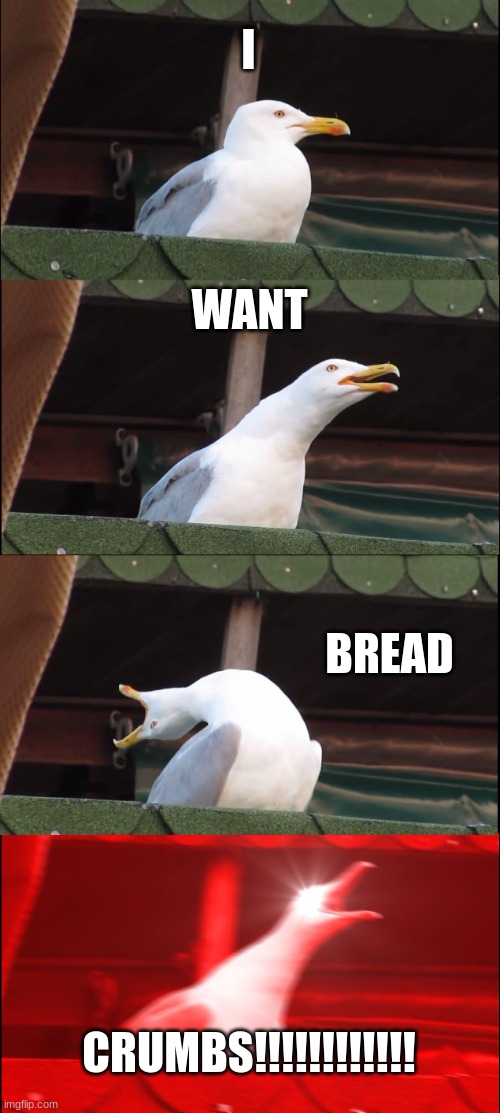 Inhaling Seagull Meme | I; WANT; BREAD; CRUMBS!!!!!!!!!!!! | image tagged in memes,inhaling seagull | made w/ Imgflip meme maker