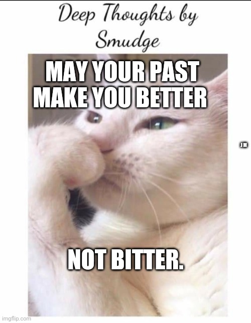 Smudge | MAY YOUR PAST MAKE YOU BETTER; J M; NOT BITTER. | image tagged in smudge | made w/ Imgflip meme maker