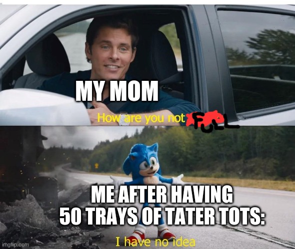 sonic how are you not dead | MY MOM; ME AFTER HAVING 50 TRAYS OF TATER TOTS: | image tagged in sonic how are you not dead | made w/ Imgflip meme maker