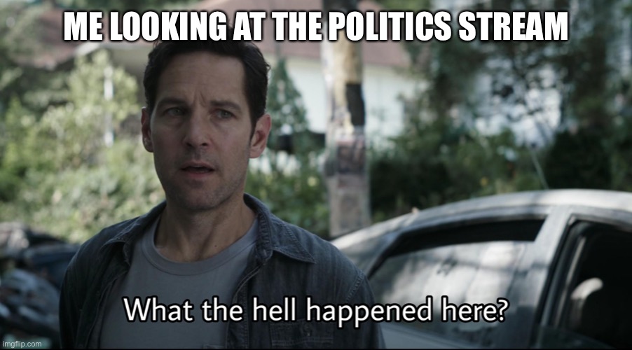 Meme only true IMGflip people understand | ME LOOKING AT THE POLITICS STREAM | image tagged in confused ant-man | made w/ Imgflip meme maker