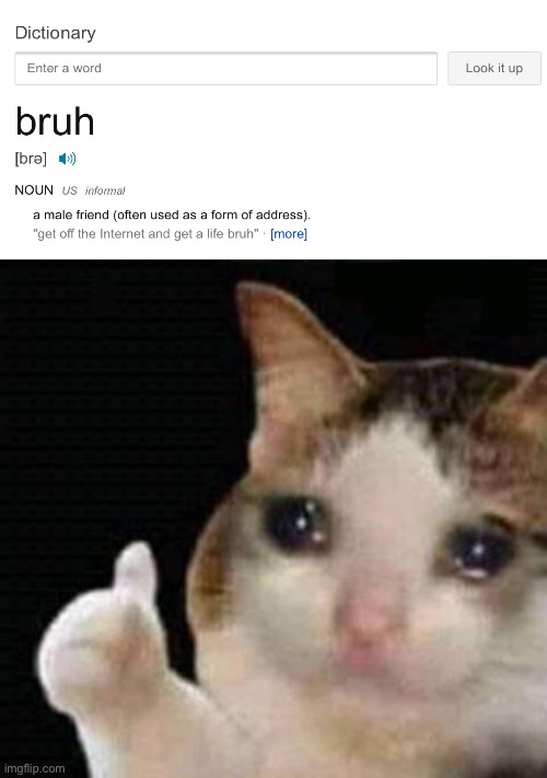 Get a life? | image tagged in sad thumbs up cat,sad cat | made w/ Imgflip meme maker
