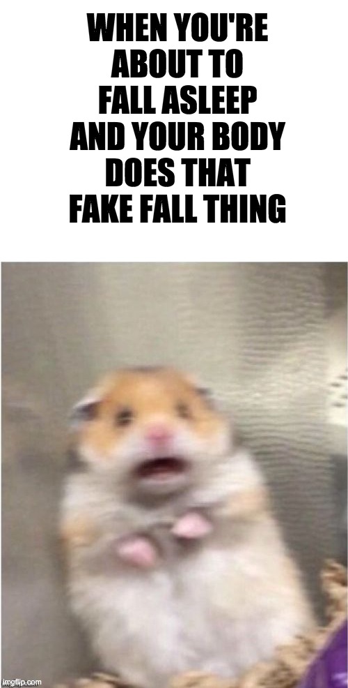 aaaaaaaaaaaaaaaaaaaaaaaahh | WHEN YOU'RE ABOUT TO FALL ASLEEP AND YOUR BODY DOES THAT FAKE FALL THING | image tagged in blank white template,scared hamster,fake fall thing idk what to call it | made w/ Imgflip meme maker