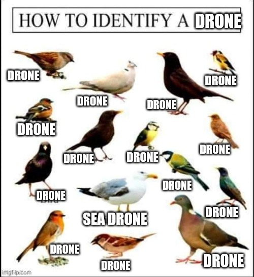 DRONE; DRONE; DRONE; DRONE; DRONE; DRONE; DRONE; DRONE; DRONE; DRONE; DRONE; DRONE; SEA DRONE; DRONE; DRONE; DRONE | image tagged in BirdsArentReal | made w/ Imgflip meme maker