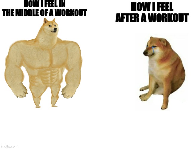 Buff Doge vs. Cheems Meme | HOW I FEEL IN THE MIDDLE OF A WORKOUT; HOW I FEEL AFTER A WORKOUT | image tagged in memes,buff doge vs cheems | made w/ Imgflip meme maker