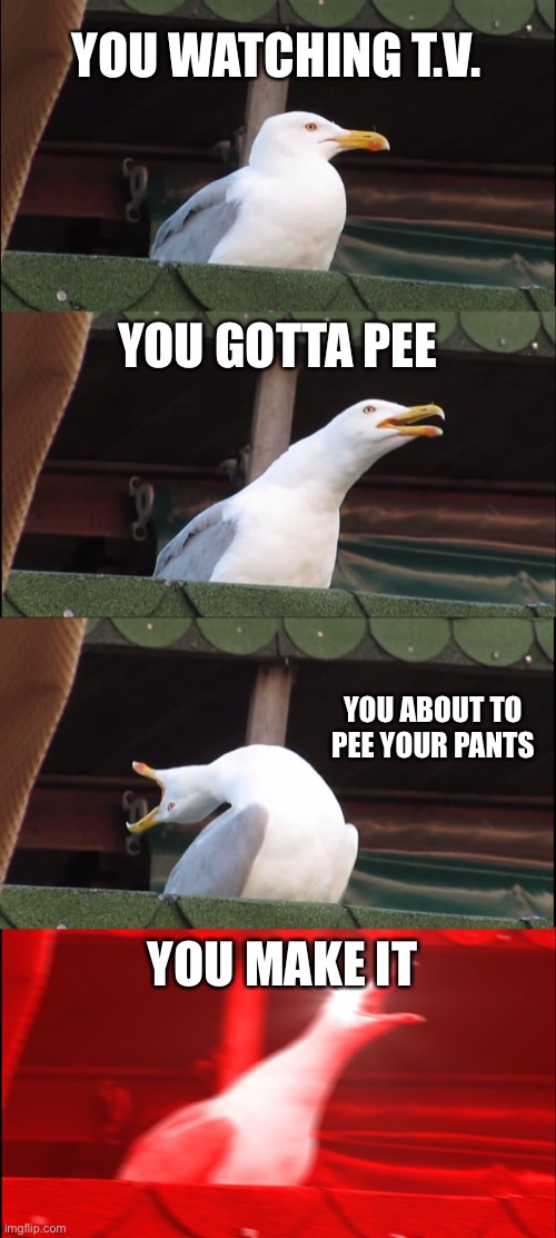 Inhaling Seagull Meme | YOU WATCHING T.V. YOU GOTTA PEE; YOU ABOUT TO PEE YOUR PANTS; YOU MAKE IT | image tagged in memes,inhaling seagull | made w/ Imgflip meme maker
