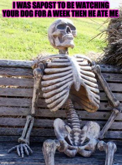 yup I died | I WAS SAPOST TO BE WATCHING YOUR DOG FOR A WEEK THEN HE ATE ME | image tagged in memes,waiting skeleton | made w/ Imgflip meme maker