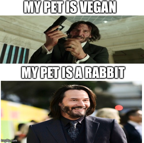 MY PET IS VEGAN; MY PET IS A RABBIT | image tagged in fun | made w/ Imgflip meme maker