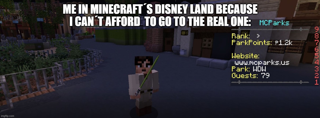 Minecraft Disney | ME IN MINECRAFT´S DISNEY LAND BECAUSE I CAN´T AFFORD  TO GO TO THE REAL ONE: | image tagged in disney,star wars,minecraft,disney world | made w/ Imgflip meme maker