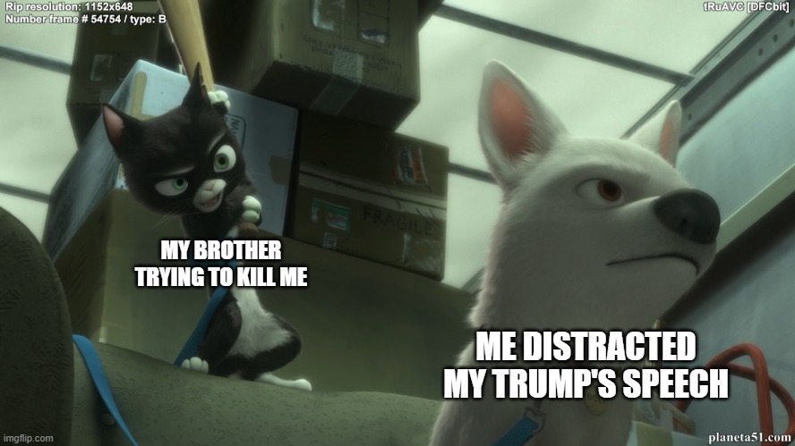 my brother is a failure | MY BROTHER TRYING TO KILL ME; ME DISTRACTED MY TRUMP'S SPEECH | image tagged in disney bolt baseball bat | made w/ Imgflip meme maker