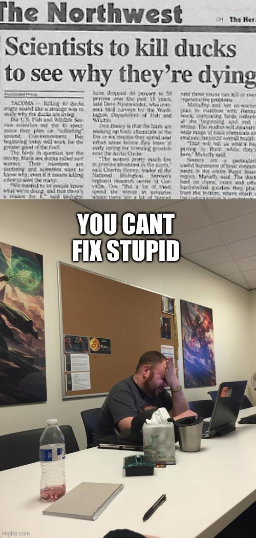 YOU CANT FIX STUPID | image tagged in memes,perfectly timed forhead slap | made w/ Imgflip meme maker