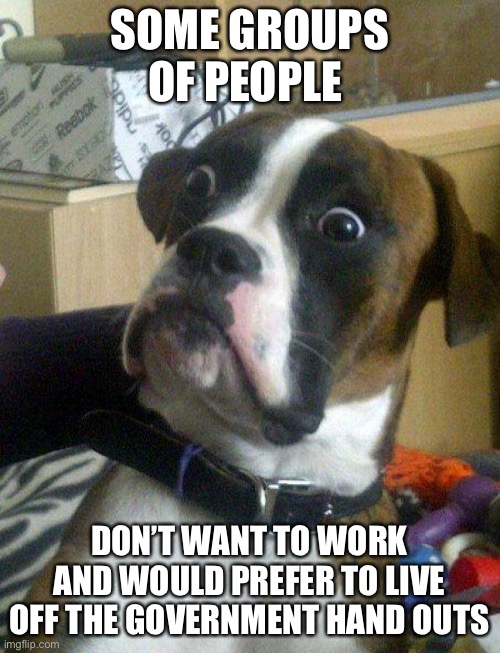 Blankie the Shocked Dog | SOME GROUPS OF PEOPLE DON’T WANT TO WORK AND WOULD PREFER TO LIVE OFF THE GOVERNMENT HAND OUTS | image tagged in blankie the shocked dog | made w/ Imgflip meme maker