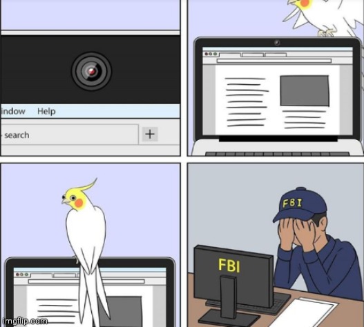 Poor fbi agent | image tagged in birds,funny,comics/cartoons | made w/ Imgflip meme maker