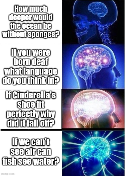 *Hits Blunt* | How much deeper would the ocean be without sponges? If you were born deaf what language do you think in? If Cinderella's shoe fit perfectly why did it fall off? If we can't see air can fish see water? | image tagged in memes,expanding brain | made w/ Imgflip meme maker