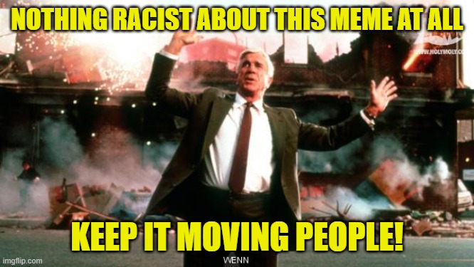 Nothing to See Here | NOTHING RACIST ABOUT THIS MEME AT ALL KEEP IT MOVING PEOPLE! | image tagged in nothing to see here | made w/ Imgflip meme maker