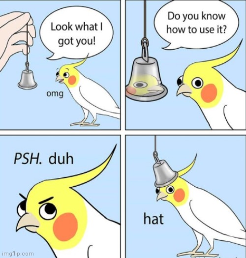H A T | image tagged in birds,memes,funny,comics/cartoons | made w/ Imgflip meme maker