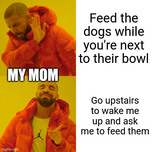 Drake Hotline Bling Meme | Feed the dogs while you're next to their bowl; MY MOM; Go upstairs to wake me up and ask me to feed them | image tagged in memes,drake hotline bling | made w/ Imgflip meme maker