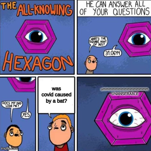 All knowing hexagon (ORIGINAL) | ummmmmmmmmmmmmmm. UNANSERABLE; was covid caused by a bat? | image tagged in all knowing hexagon original | made w/ Imgflip meme maker