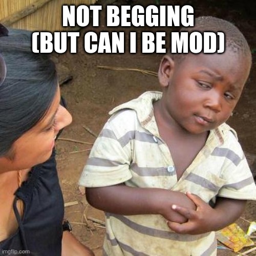 Third World Skeptical Kid | NOT BEGGING (BUT CAN I BE MOD) | image tagged in memes,third world skeptical kid | made w/ Imgflip meme maker