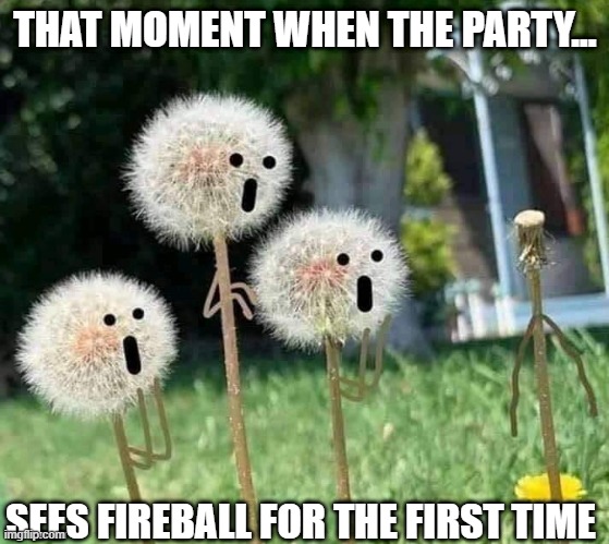 dndy | THAT MOMENT WHEN THE PARTY... SEES FIREBALL FOR THE FIRST TIME | image tagged in dndy | made w/ Imgflip meme maker