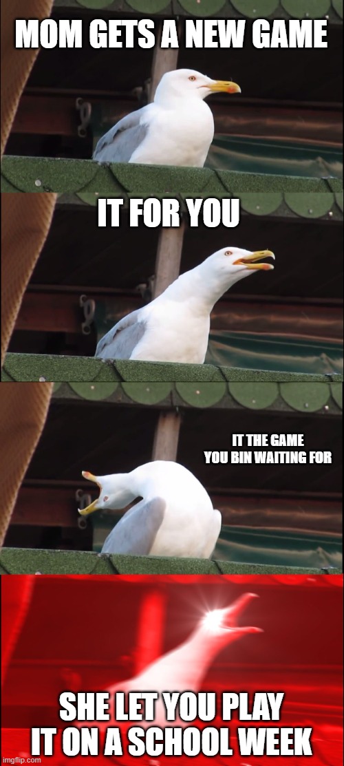 who can relate if you can upvote if you can not downvote | MOM GETS A NEW GAME; IT FOR YOU; IT THE GAME YOU BIN WAITING FOR; SHE LET YOU PLAY IT ON A SCHOOL WEEK | image tagged in memes,inhaling seagull | made w/ Imgflip meme maker